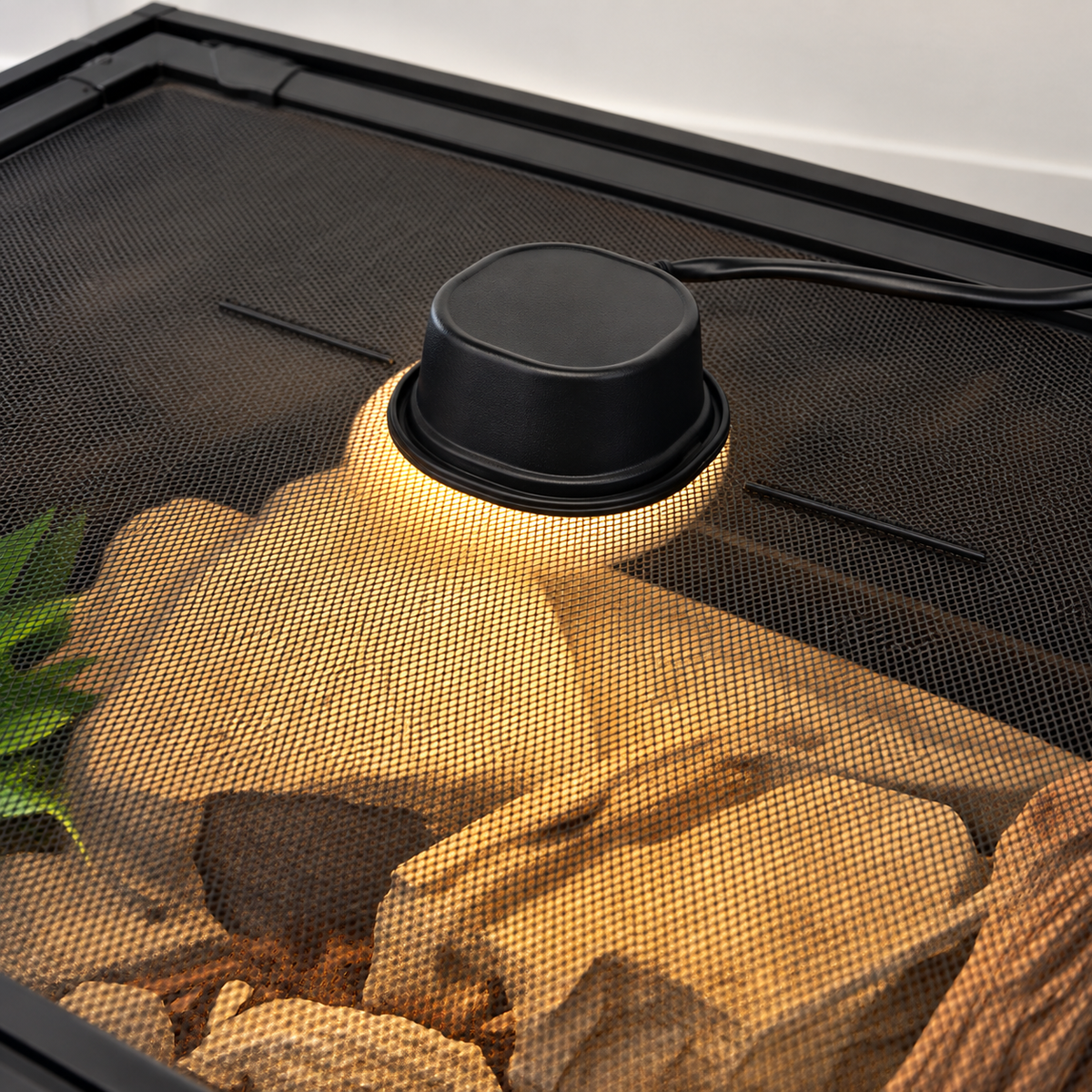 Chauffage Reptile Systems Basking Eco Mini Heater installé sur la grille d’un terrarium au-dessus de la zone chaude