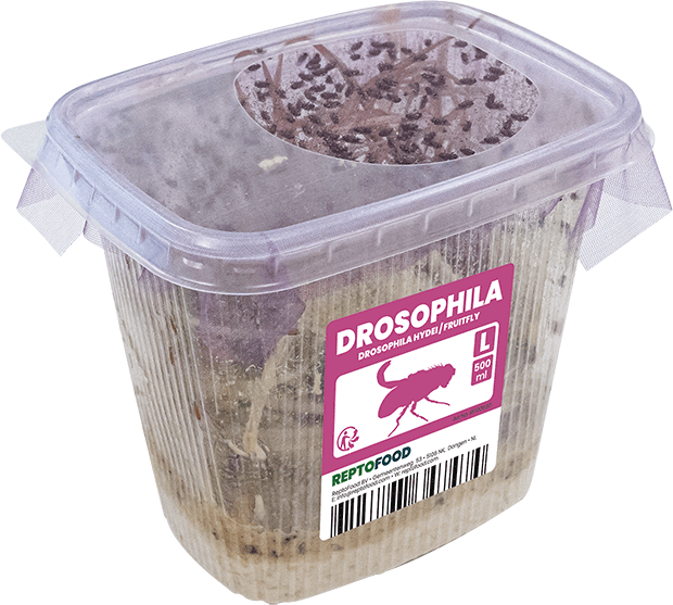Drosophiles Reptofood
