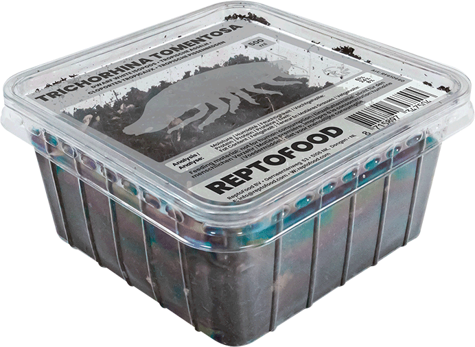 Cloportes Tropicaux Reptofood