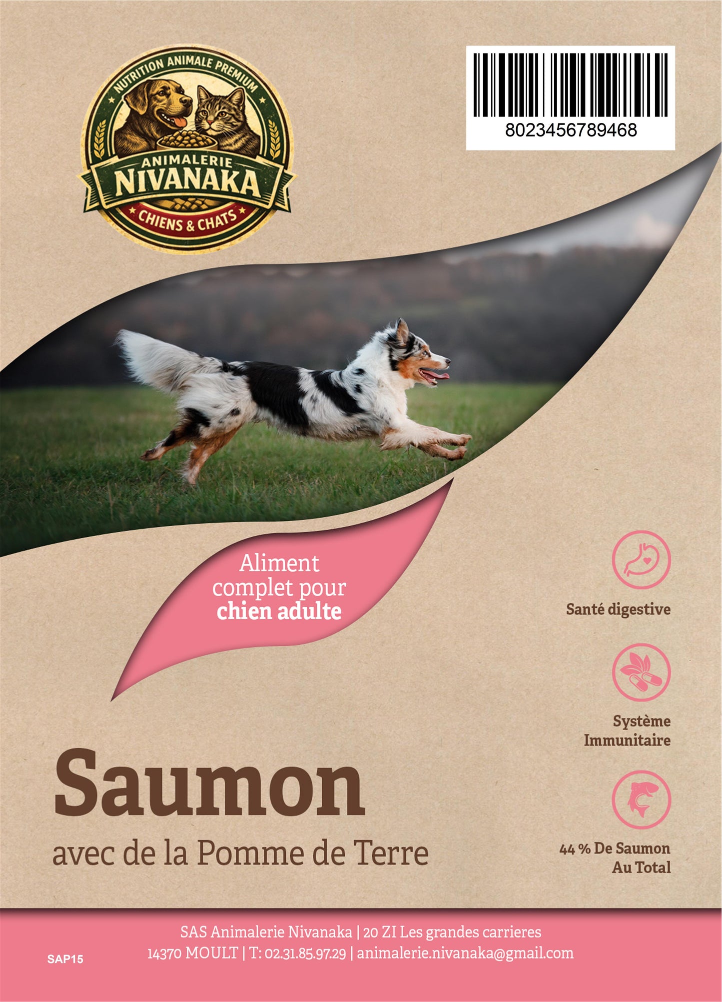 Croquettes Nivanaka Chien Adulte – Saumon & Pomme de terre