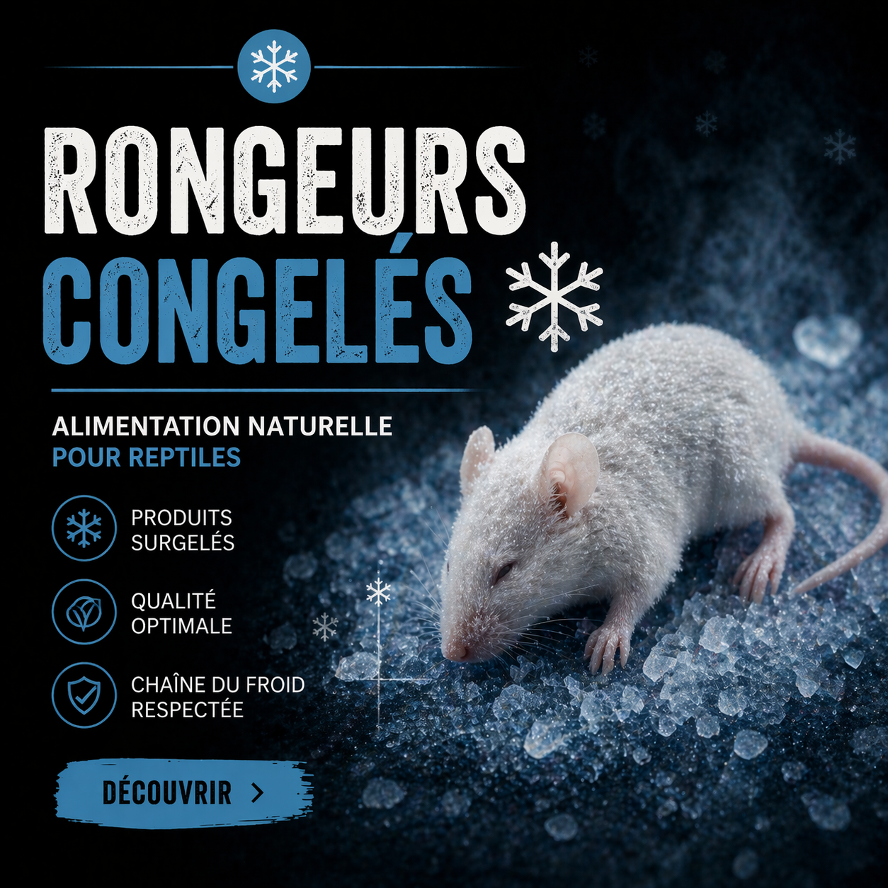 Rongeurs congelés