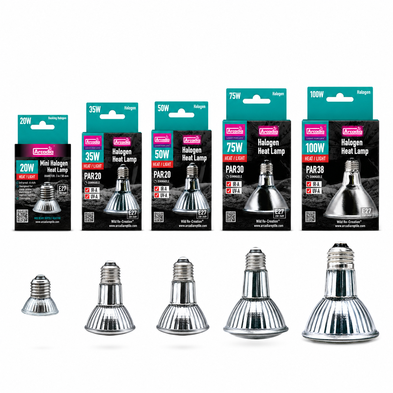 Gamme d’ampoules chauffantes Arcadia Halogen pour terrarium en 20 W, 35 W, 50 W, 75 W et 100 W