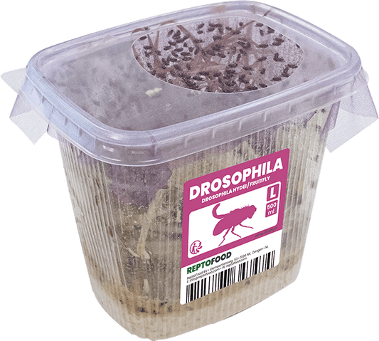 Drosophiles Reptofood