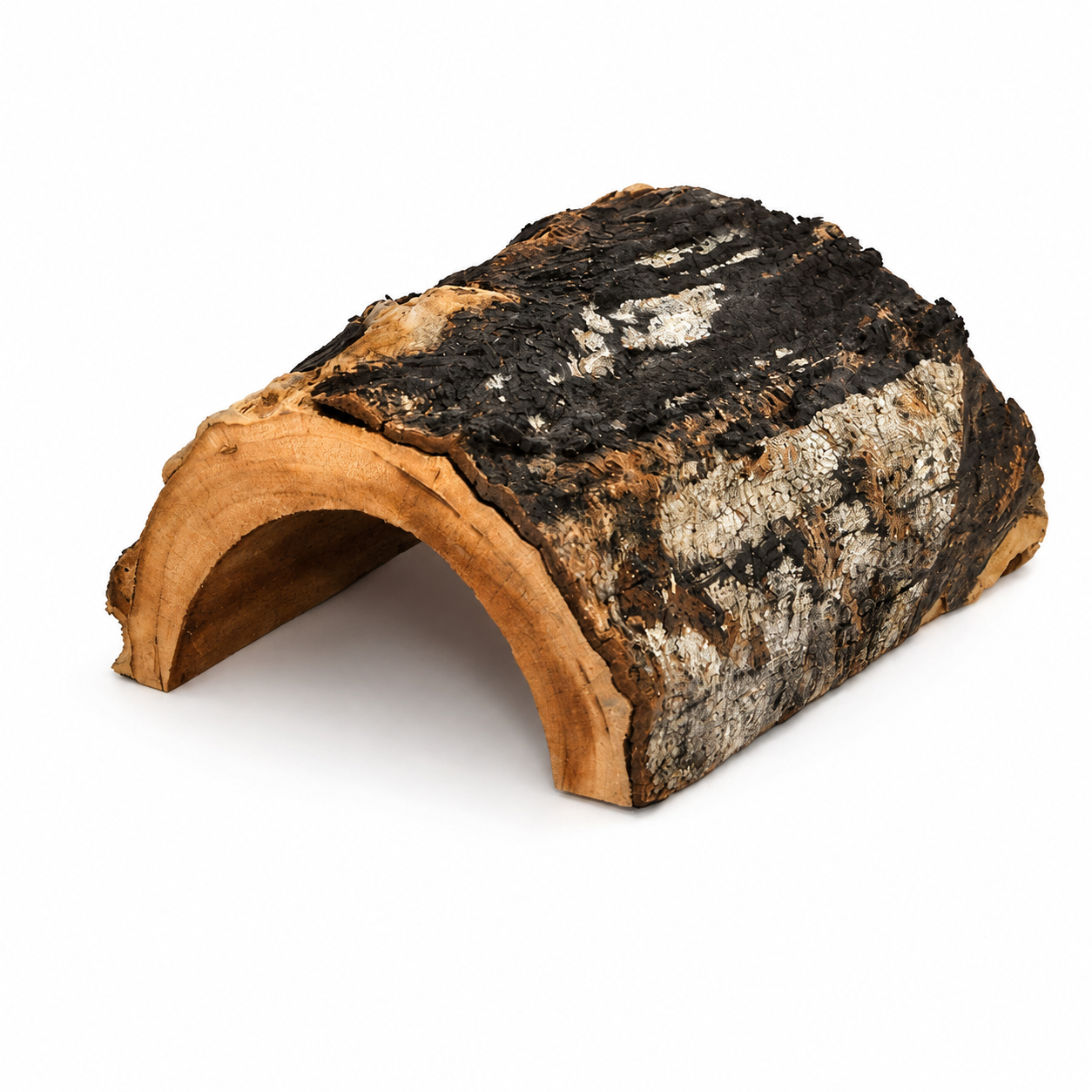 Cachette naturelle en demi-tronc HabiStat Natural Forest Hideout taille L pour reptiles et terrarium