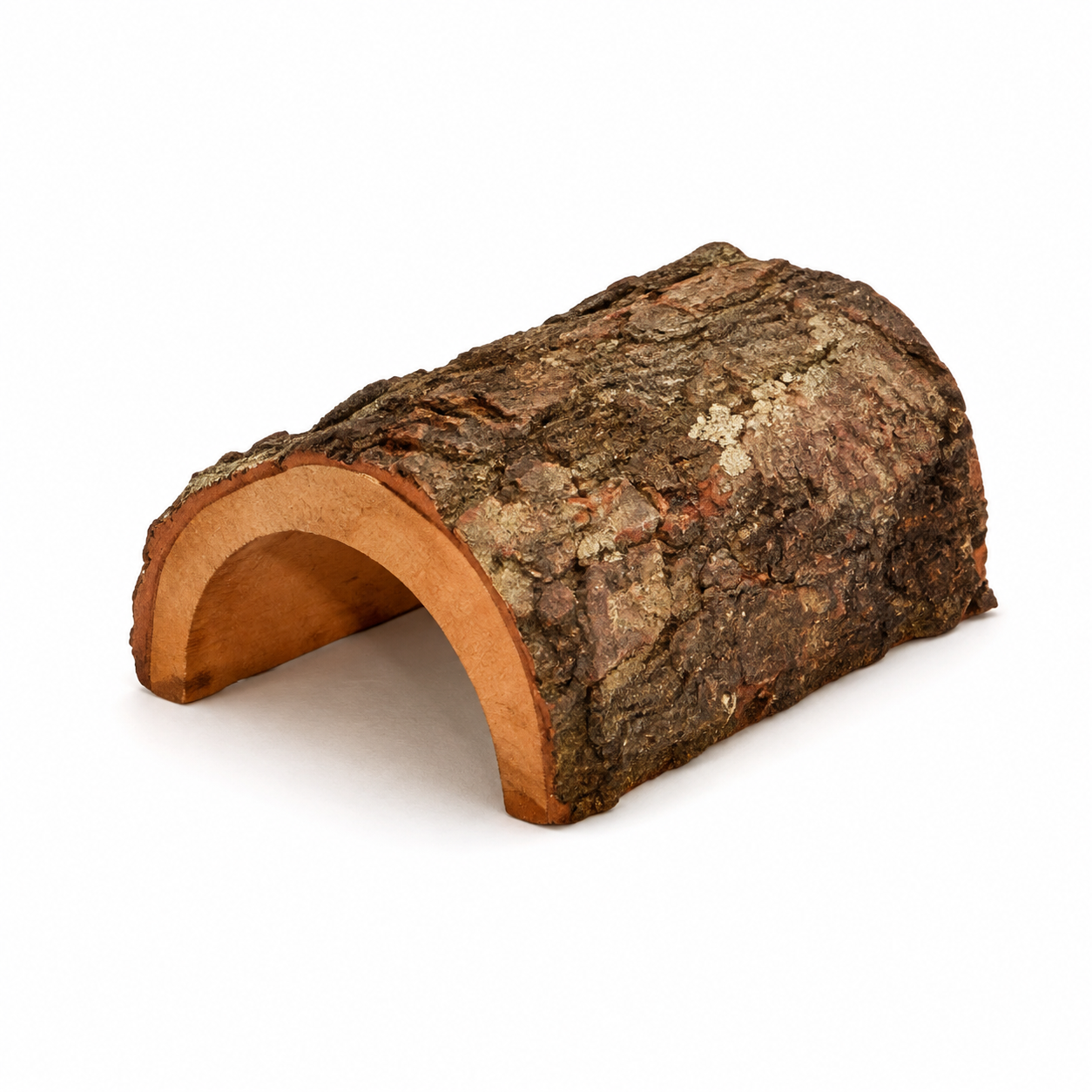Cachette naturelle en demi-tronc HabiStat Natural Forest Hideout taille M pour reptiles et terrarium