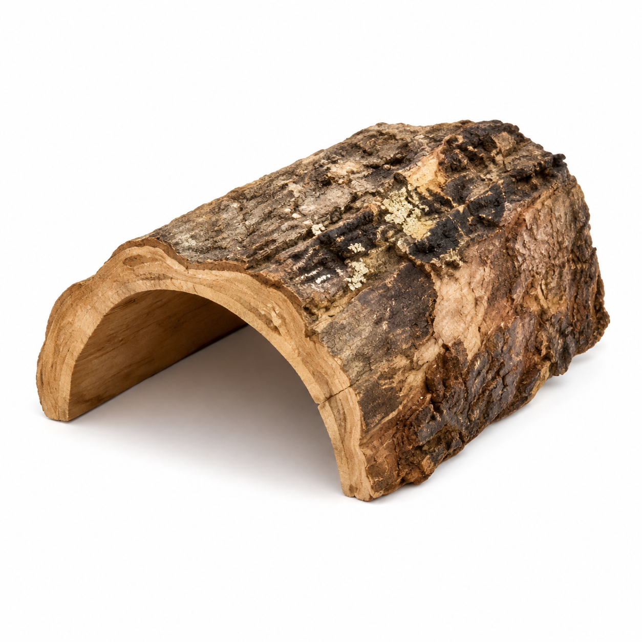 Cachette naturelle en demi-tronc HabiStat Natural Forest Hideout taille XL pour reptiles et terrarium