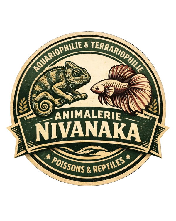 Nivanaka