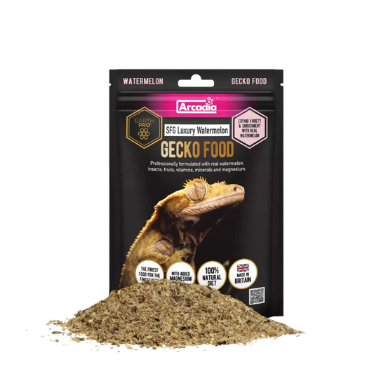 Nourriture Geckos à crête Arcadia Sticky Foot Gold Pastèques