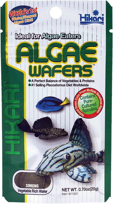 Nourriture Poissons de Fond Hikari Algae Wafers 82gr