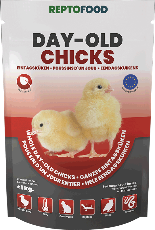 Poussins Reptofood 1kg