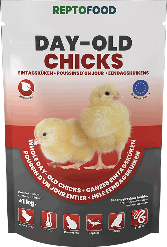 Poussins Reptofood 1kg