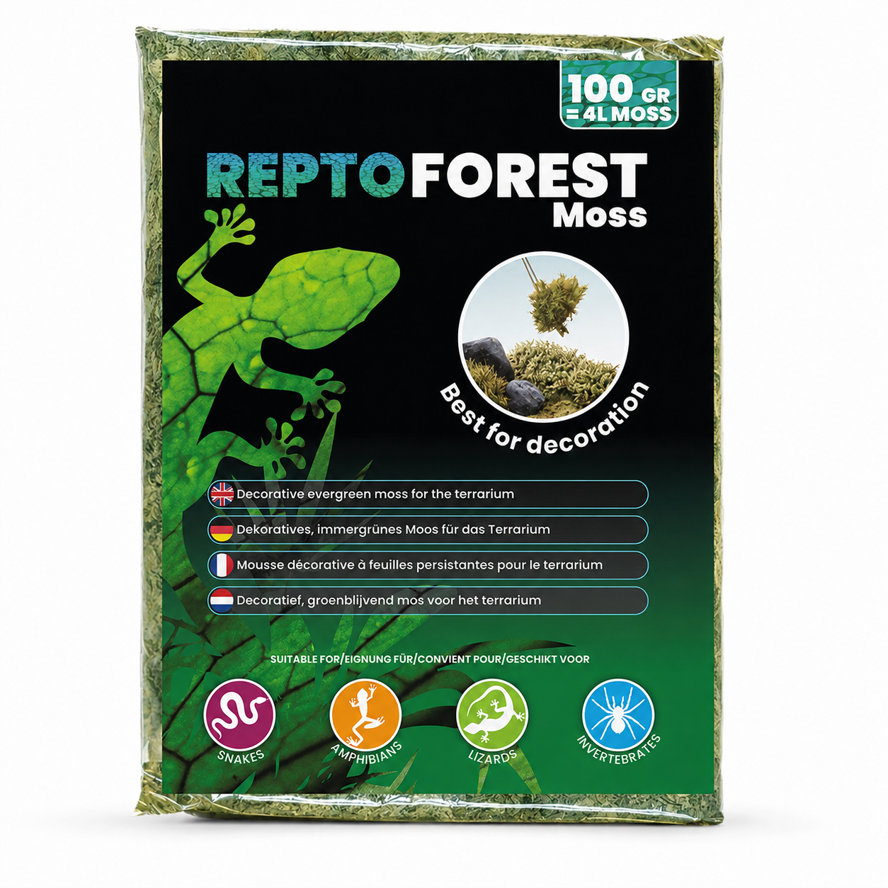 Mousse forestière décorative Repto Forest Moss 100 g, équivalent 4 L, pour terrarium et reptiles