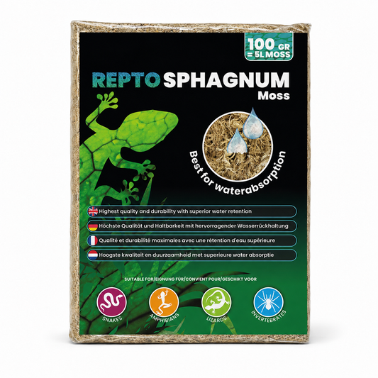 Mousse de sphaigne Repto Sphagnum Moss 100 g, équivalent 5 L, pour terrarium humide et reptiles