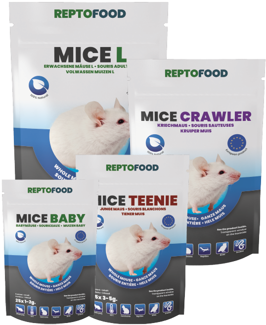 Souris Congelées Reptofood