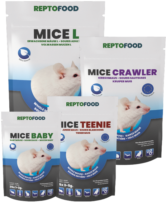 Souris Congelées Reptofood