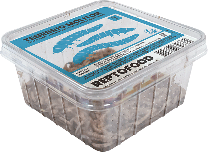 Vers de farine Vivants Reptofood