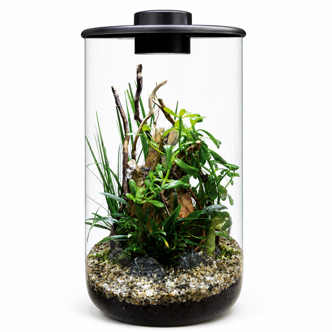 BioArt Cylinder 285 – Terrarium végétal en verre avec éclairage