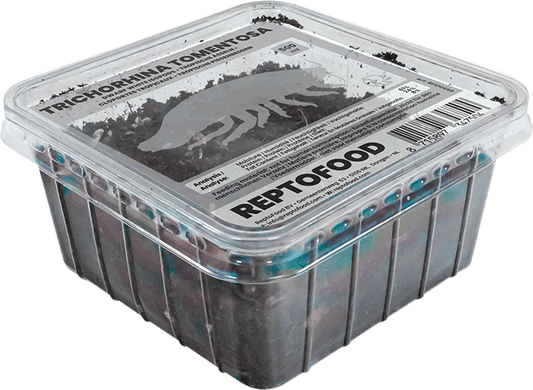 Cloportes Tropicaux Reptofood