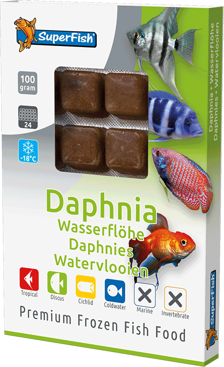 Nourriture Congelée Daphnies SuperFish