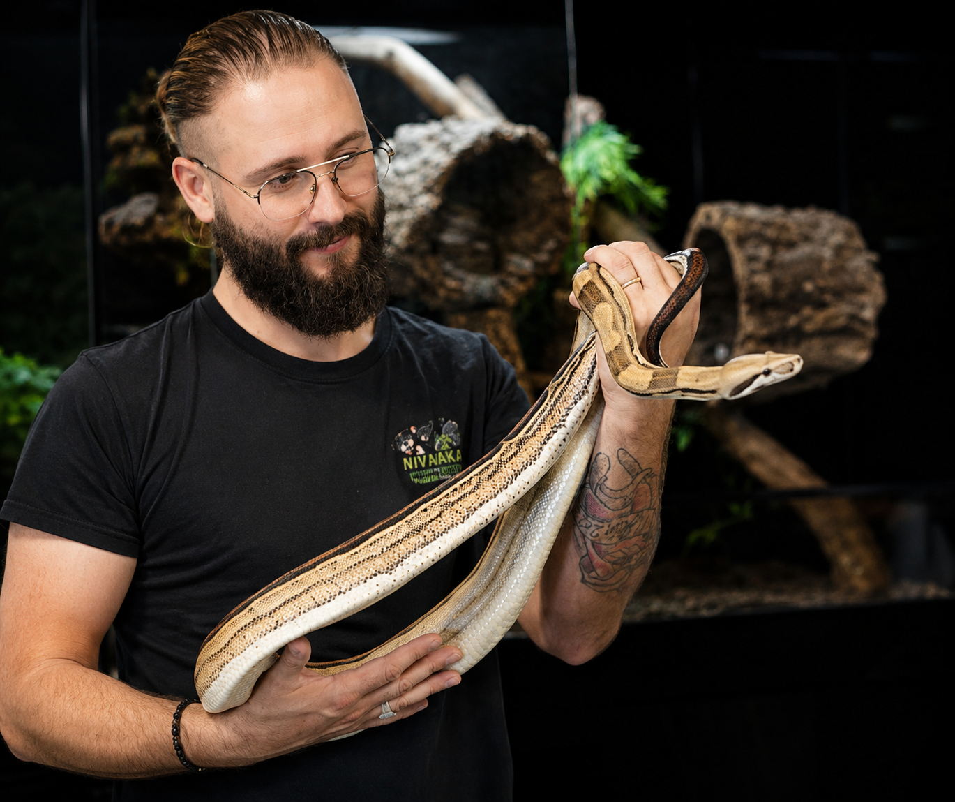 Kévin de Nivanaka avec des serpents
