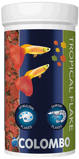 Nourriture poisson Aquarium Colombo Tropical Flake