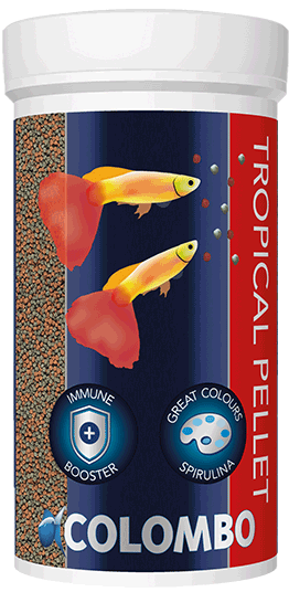 Nourriture poisson Aqquarium Colombo Tropical Pellet