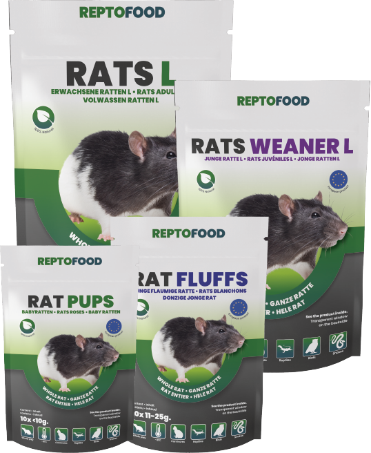 Rats Congelés Reptofood
