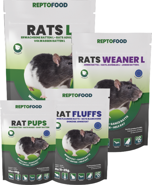 Rats Congelés Reptofood