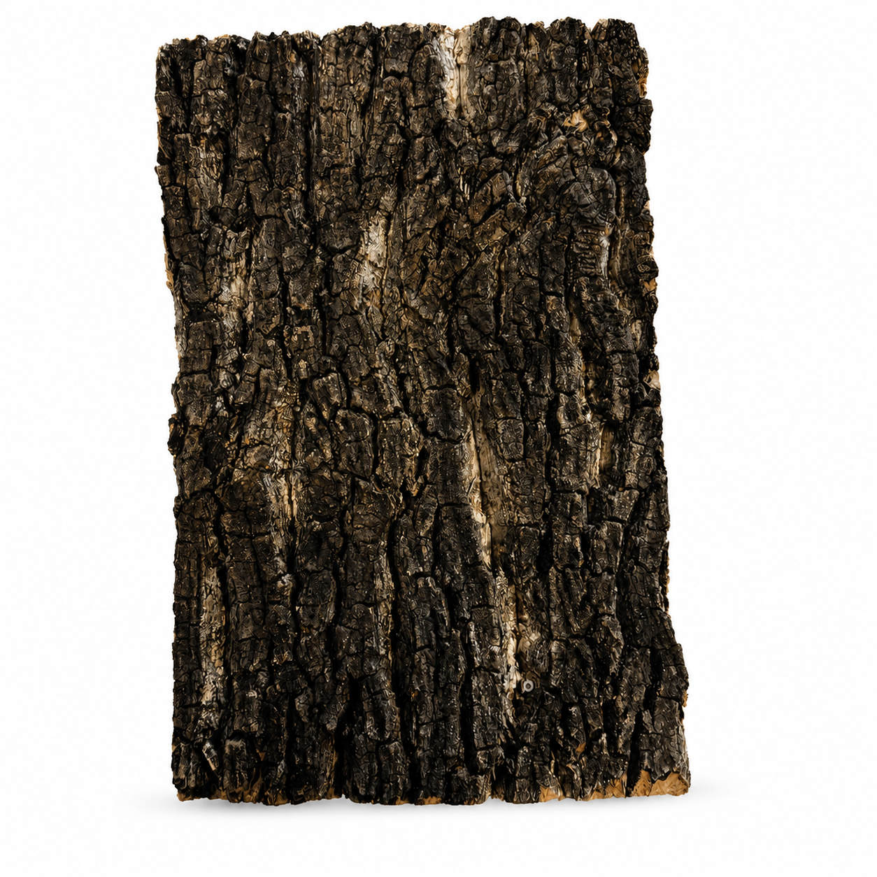 Repto – Plaque de liège naturel pour terrarium
