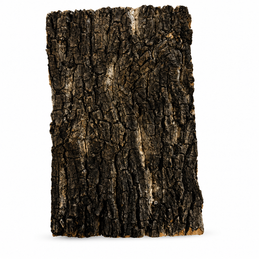 Repto – Plaque de liège naturel pour terrarium