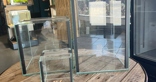 Terrarium en Verre sur Mesure