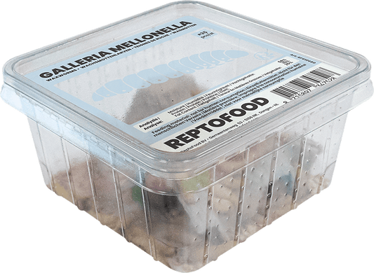 Teignes de Ruche Reptofood